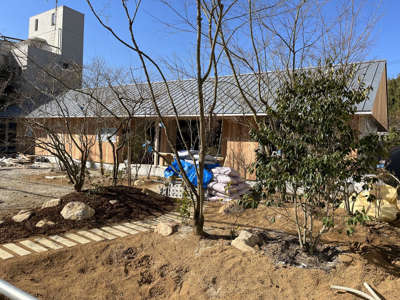 植栽がたくさんのはとむぎの杜