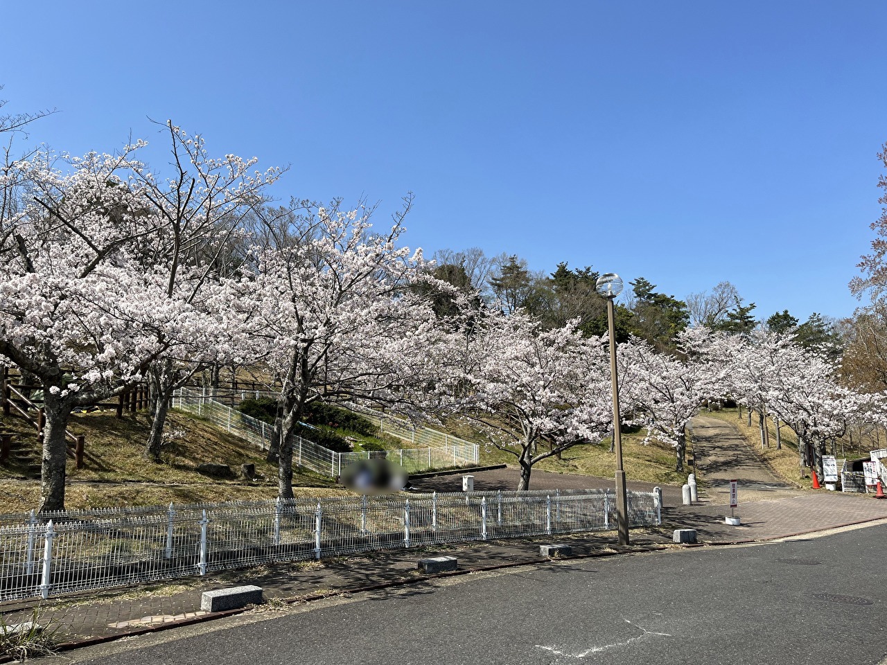 花時計の下でお花見を楽しむひとたち