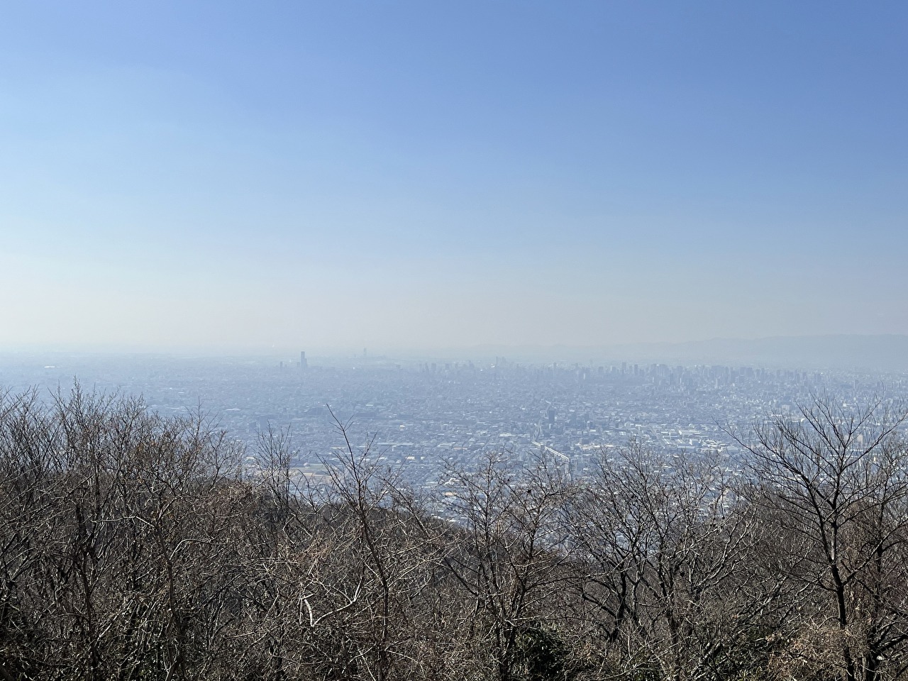 生駒山上遊園地から大阪市街の眺め