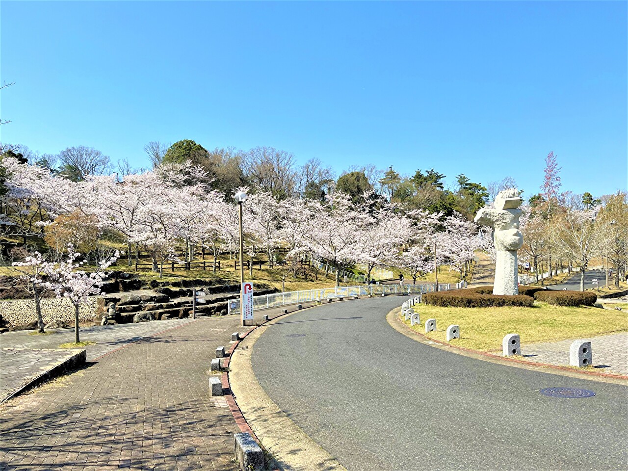 生駒山麓公園の花見スポット