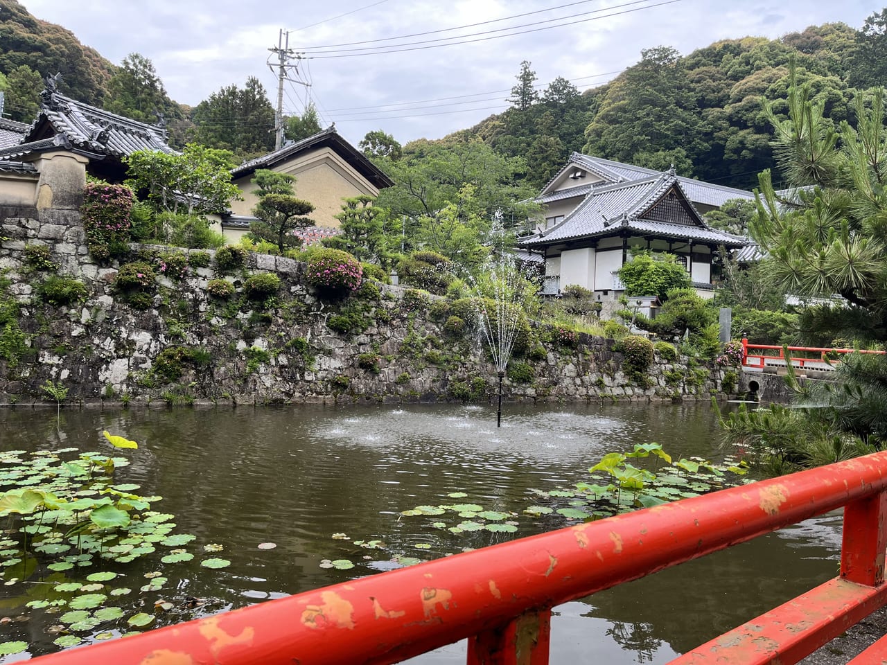 噴水のある蓮池